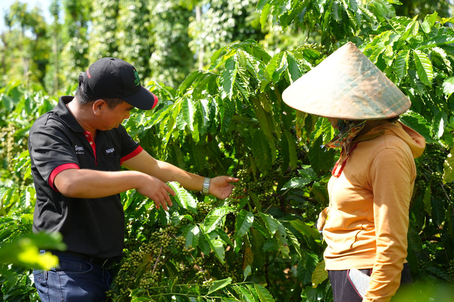 Gia tăng giá trị cà phê, tạo động lực phát triển vùng sản xuất trọng điểm Tây Nguyên